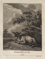 KG 01079
          <br/>
          Entwurf einiger Maulthiere und Esel. Siebender Theil. (18 bladen)
          <br/>
          <em>Ridinger, Johann Elias (1698-1767)</em>